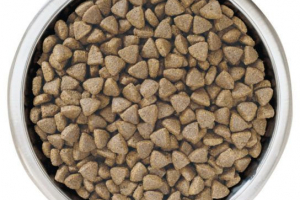 Kako odabrati suhu hranu za odrasle mačke Kako odabrati suhu hranu za odrasle mačke